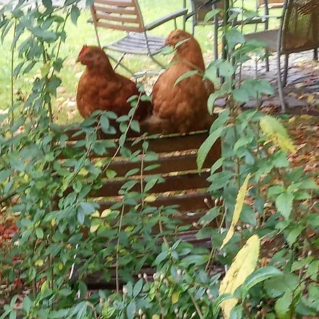 Gruenes Tal Berta Apartmán