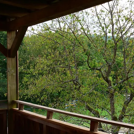 Gruenes Tal Berta Rabennest